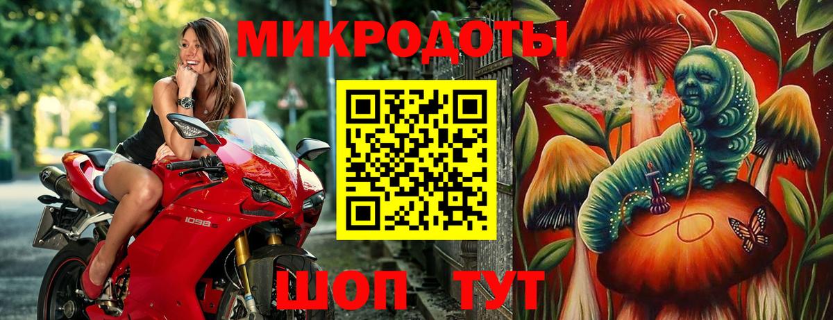 Губкин  Псилоцибиновые грибы MAGIC MUSHROOMS  Вход с VPN 